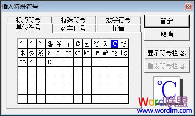 插入特殊符号