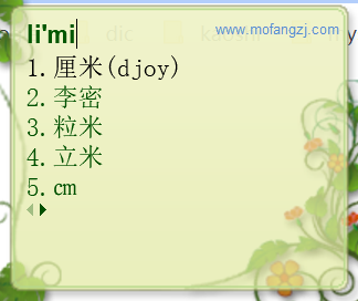 厘米符号输入