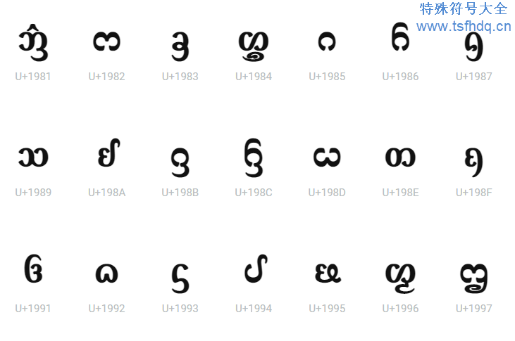 少见的新傣仂文特殊符号