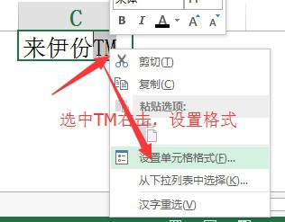 怎么在excel中插入商标符号，或其他特殊符号