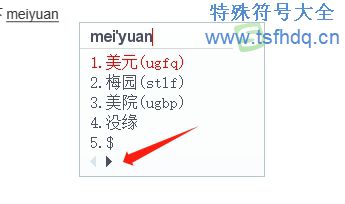 美元的符号